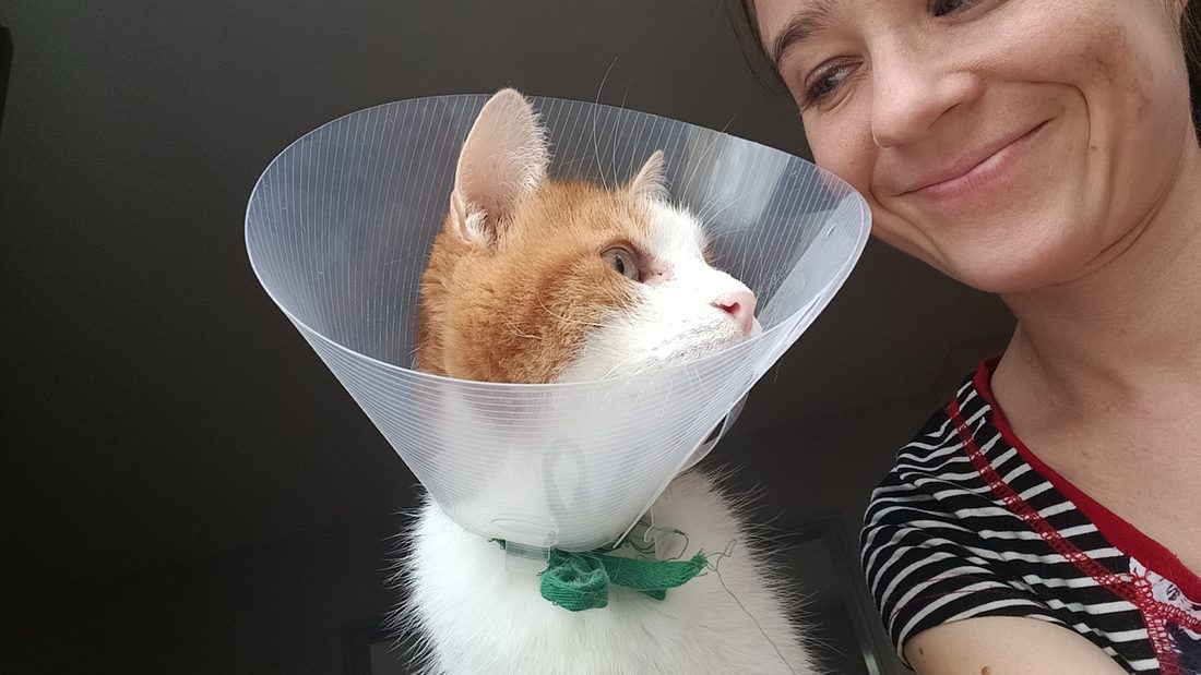 Cynthia et son chat